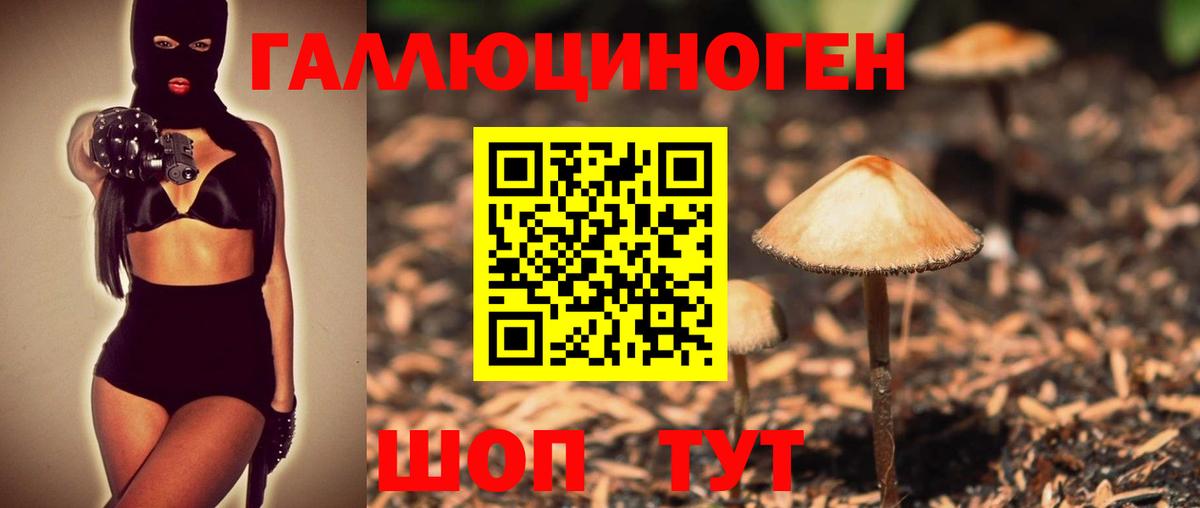 Псилоцибиновые грибы Magic Shrooms  Вход с VPN  Углич 